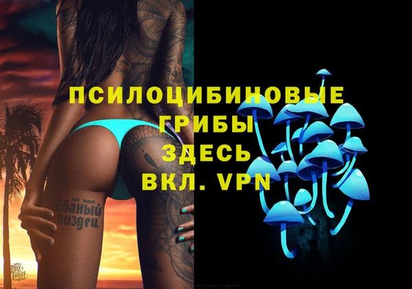 spice Дмитров