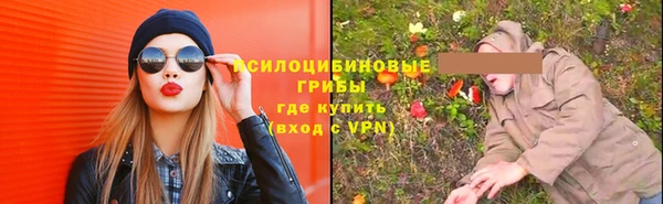 прущие грибы Грязовец