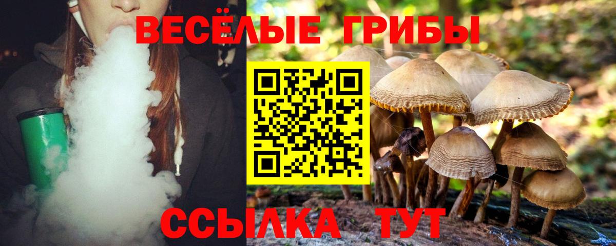 магазин продажи наркотиков  Галлюциногенные грибы Magic Shrooms  Заинск  Вход с VPN  Галлюциногенные грибы ЛСД 